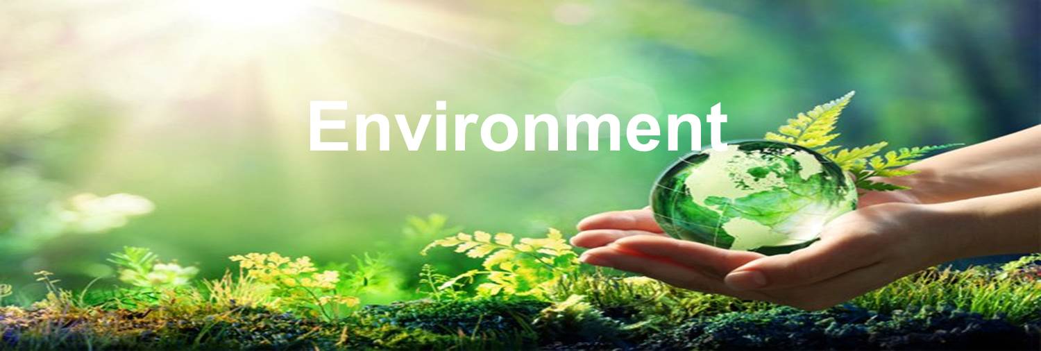 Enviro web1